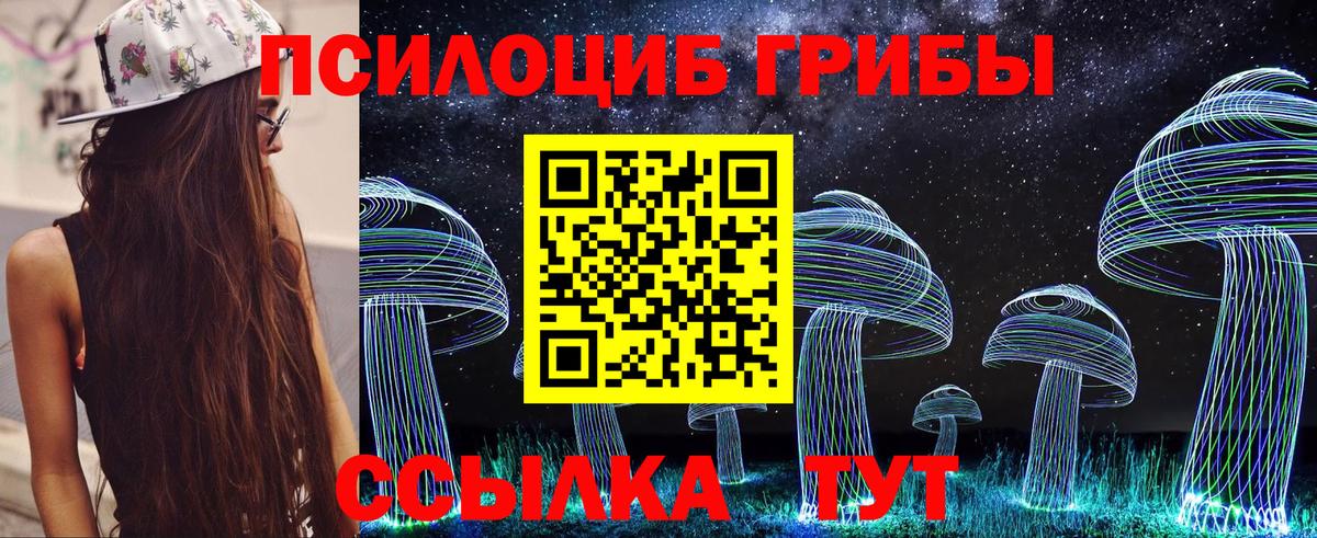 Псилоцибиновые грибы Psilocybine cubensis Кубинка