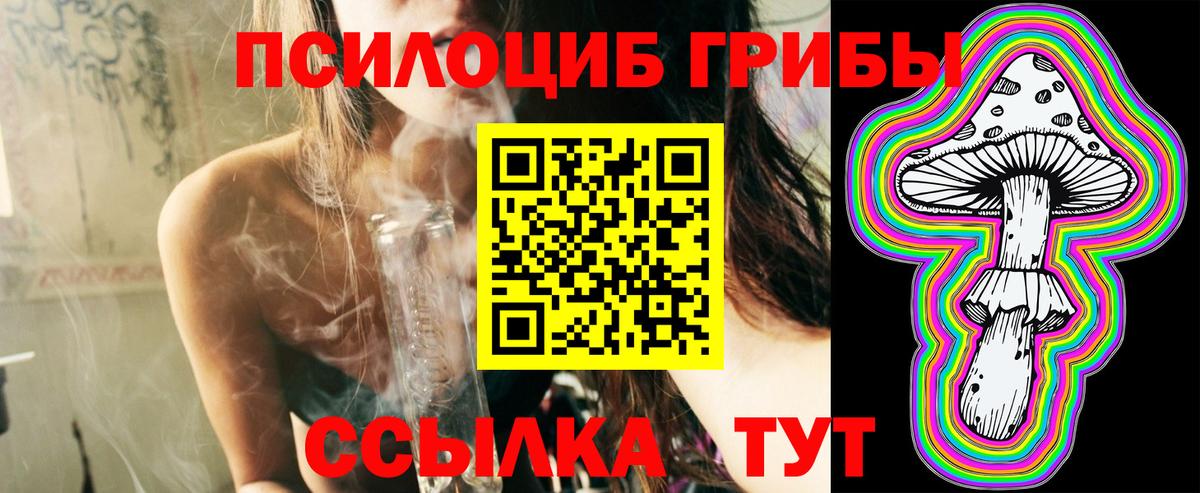 Кубинка  Галлюциногенные грибы Cubensis  Галлюциногенные грибы Psilocybine cubensis  Вход с VPN 